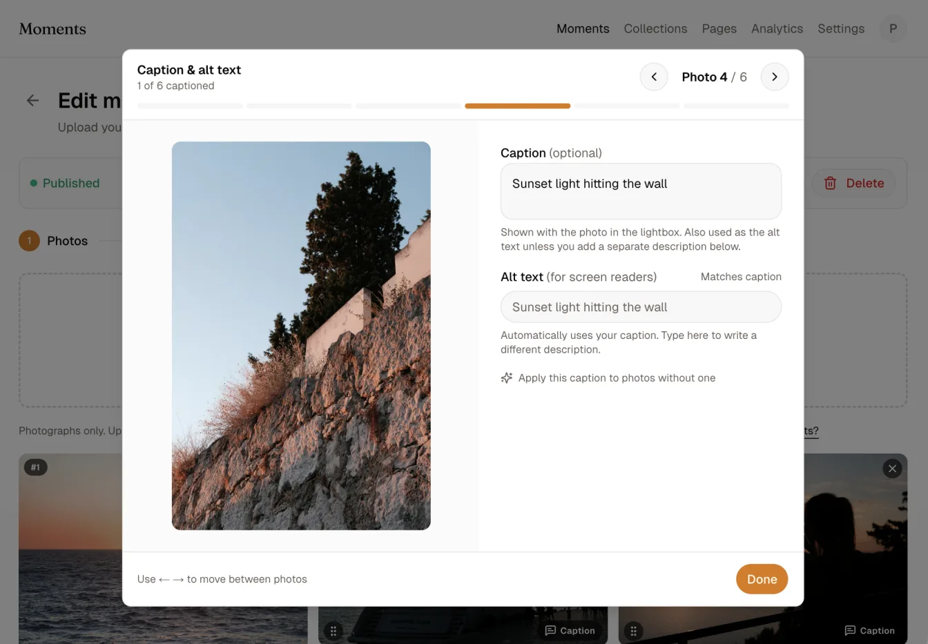 The caption and alt text editor open over a photo, with a caption typed in and the alt text matching it