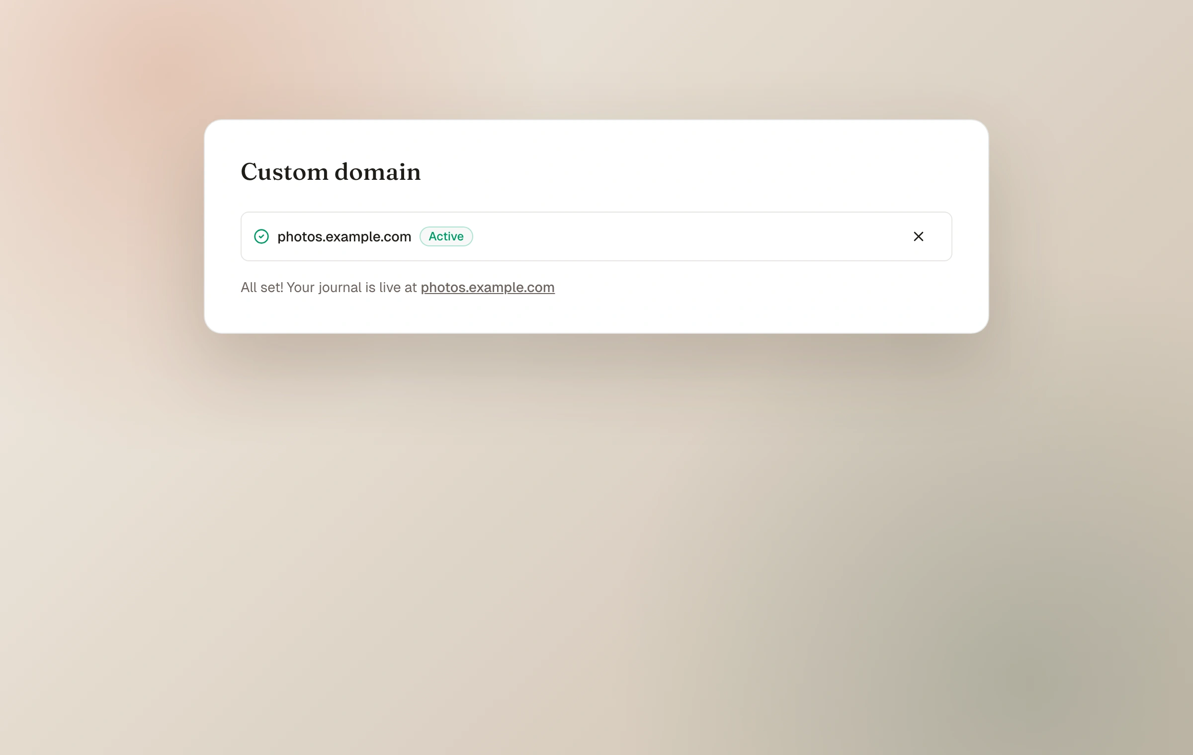 The Moments custom domain settings showing an example domain with Active status