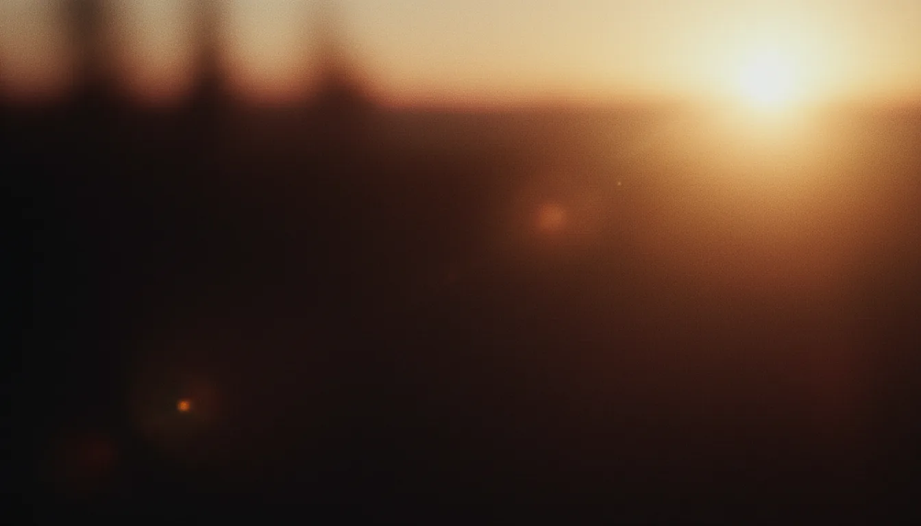 Printed photographs gathered in a shaft of warm afternoon light